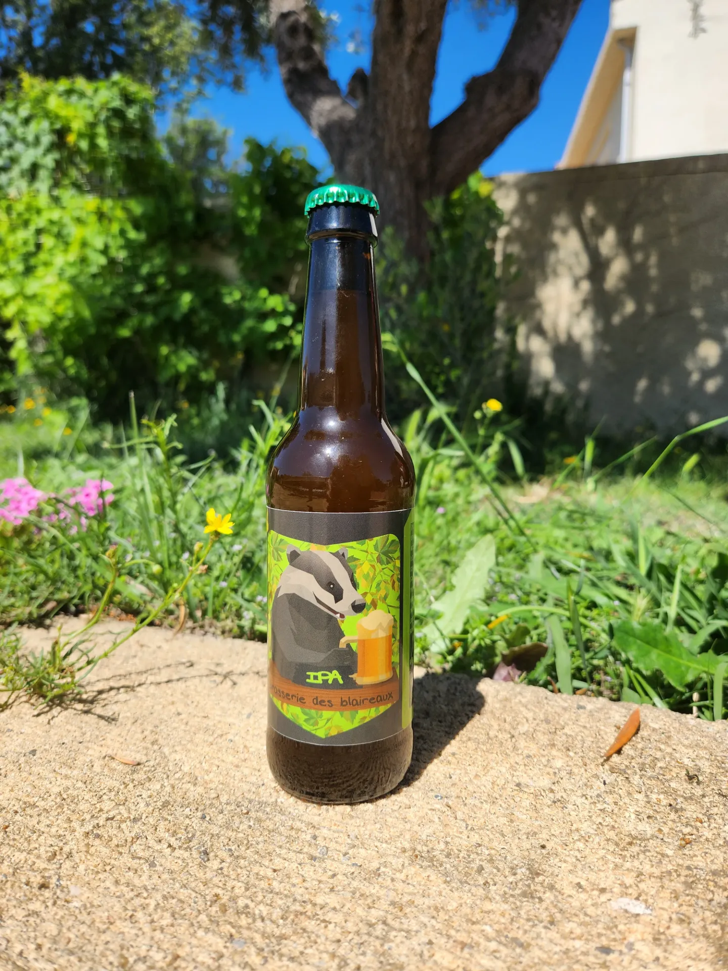 Bière IPA Spider - 33cl